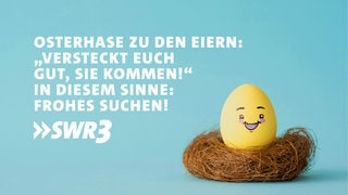 Lustige Whatsapp-Sprüche und Grüße zu Ostern auf Bildern zum verschicken. (Foto: Adobe Stock, Golubovy) Lustige Whatsapp-Sprüche und Grüße zu Ostern auf Bildern zum verschicken.