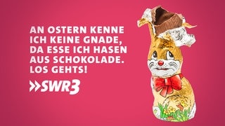 Lustige Whatsapp-Sprüche und Grüße zu Ostern auf Bildern zum Verschicken (Foto: Adobe Stock, deagreez) Lustige Whatsapp-Sprüche und Grüße zu Ostern auf Bildern zum Verschicken